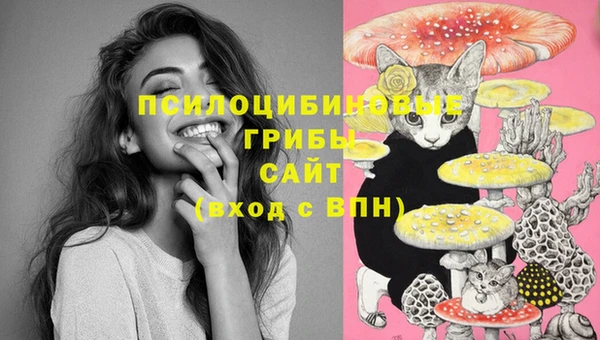 ПСИЛОЦИБИНОВЫЕ ГРИБЫ Вязьма