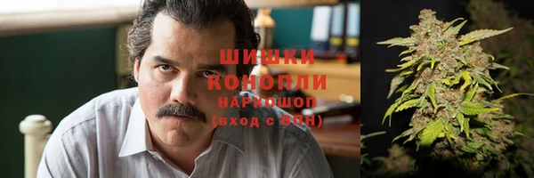 ПСИЛОЦИБИНОВЫЕ ГРИБЫ Вязьма
