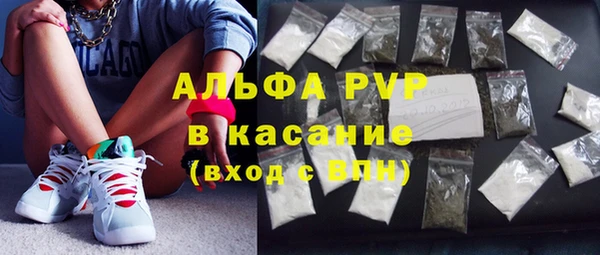 ПСИЛОЦИБИНОВЫЕ ГРИБЫ Вязьма