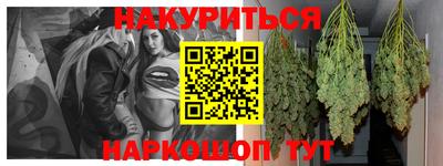прущие грибы Будённовск