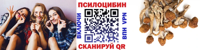 shop официальный сайт  Горячий Ключ  МЕГА зеркало  Галлюциногенные грибы Magic Shrooms  наркота 
