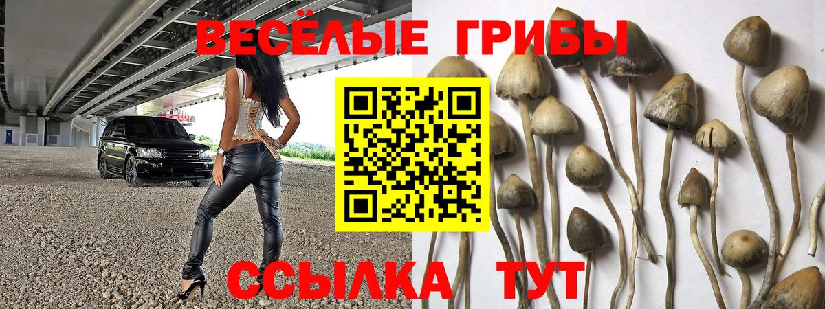Горячий Ключ  Псилоцибиновые грибы мицелий  Вход с VPN 