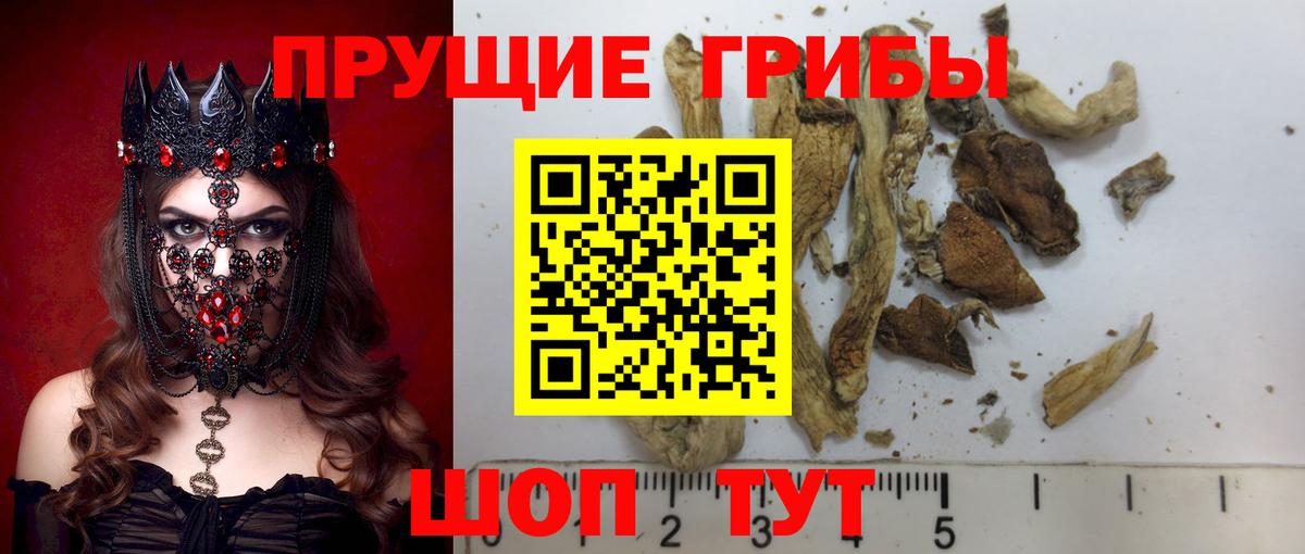 Псилоцибиновые грибы прущие грибы Горячий Ключ