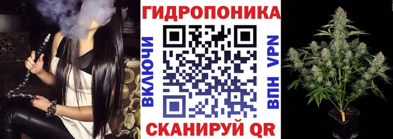 Бошки Шишки марихуана  Горячий Ключ 
